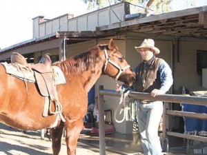 Ponderosa stables