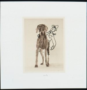 Dog treats: Wegman's artwork comes to SMoCA 