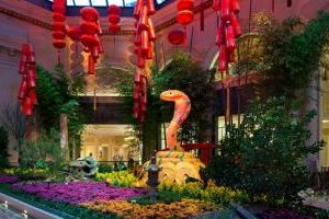 Travel-Trip-Las Vegas-Chinese New Year