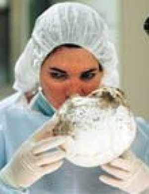 For forensic anthropologist, each set of remains is a puzzle to be solved 