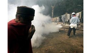 Malaria threat emerges in Tsunami region 
