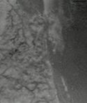 Probe lands on Saturn moon; sends photos 