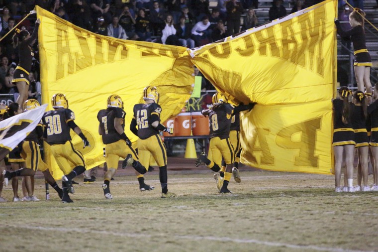 Chaparral at Marcos de Niza