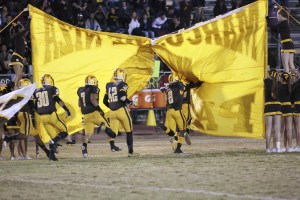 Chaparral at Marcos de Niza
