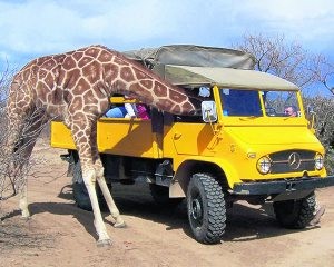 Central Arizona has many fun attractions 
