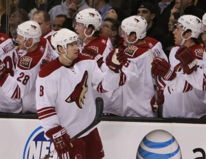 Phoenix Coyotes