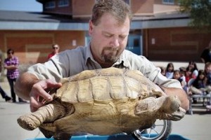 TORTOISE RETURN