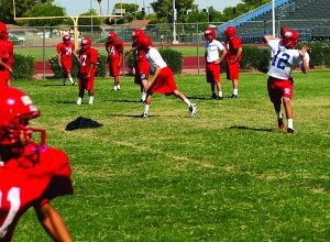 New Times for the Toros 
