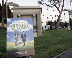 ABC pushes ‘Daisies’ with hopes for a blooming hit 