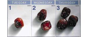 The date has a long, delicious, nutritious history in Arizona 
