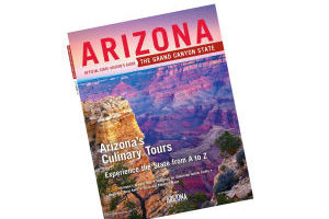 Arizona guide