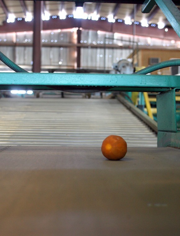 Mesa Citrus Growers