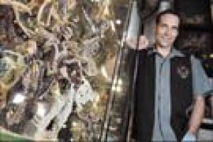 McFarlane Toys spawns huge success 
