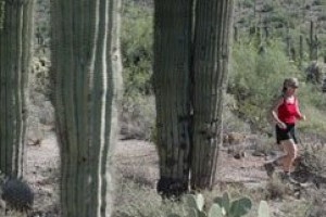 Take a hike: Hit trails and enjoy outdoors