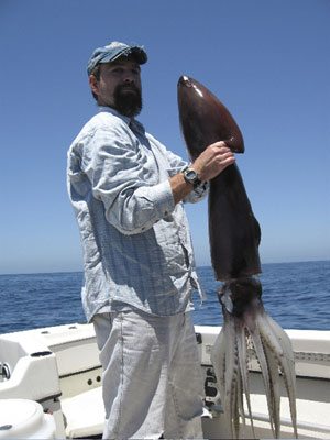 Jumbo squid invade San Diego shores 