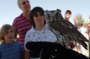 Feathered Friends Festival
