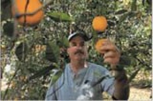 Rain not fruitful for Arizona farmers 