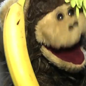 Stop the Monkey Business and Free the News 1