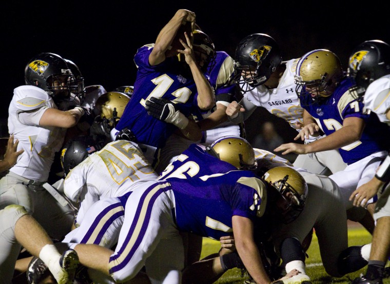 Saguaro at Queen Creek