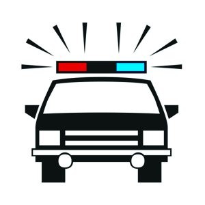 Cities doing fine arresting illegal immigrants 