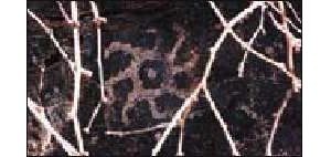 Take a petroglyph-perfect hike through time 