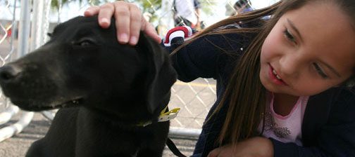 Adopt-a-thon gives visitors warm fuzzies 