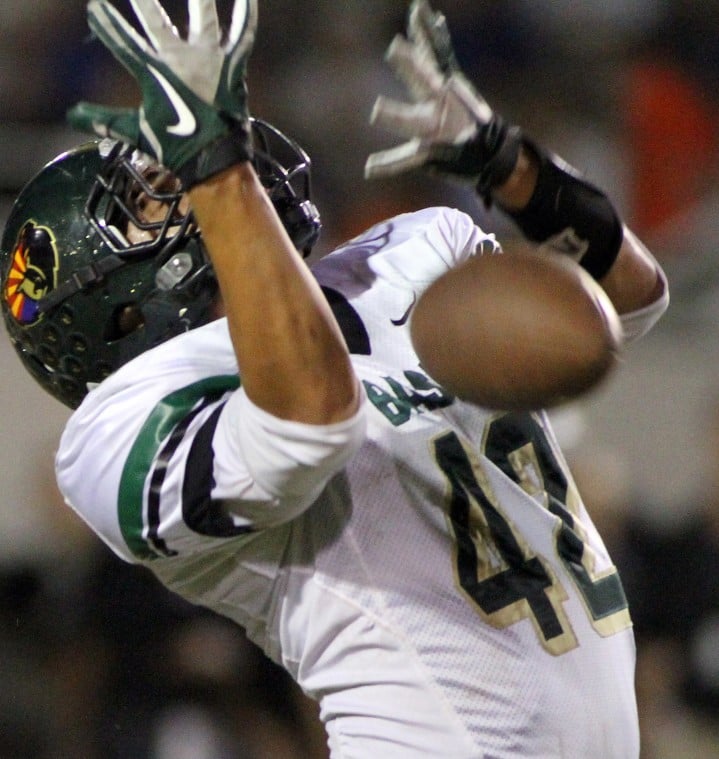 Basha at Hamilton