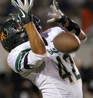 Basha at Hamilton