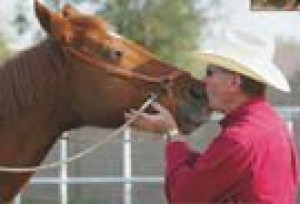 Texas-born trainer abandons macho approach to horses for a gentler way 