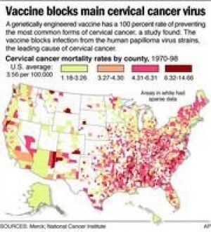 Merck: Cervical cancer vaccine effective 