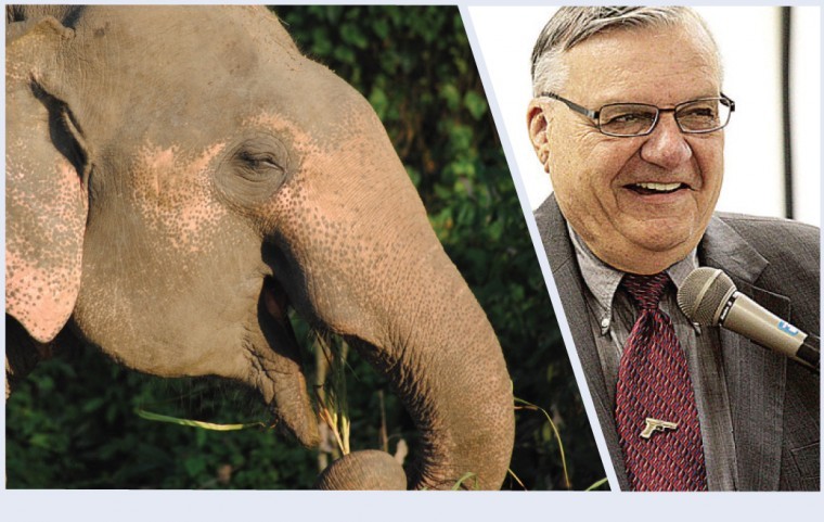Sheriff Joe and the GOP Elephants