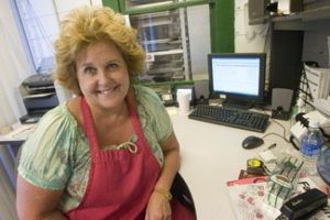 Gilbert council considers 1.5% use tax 