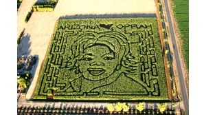 Q.C. farm features corn likeness to Winfrey 