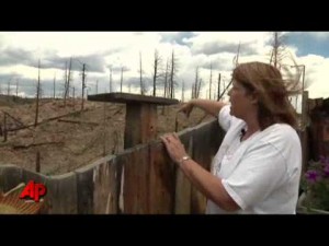 'Moonscape's' Lessons for Ariz. Fire Victims