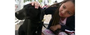 Adopt-a-thon gives visitors warm fuzzies 