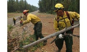 Plan in place to save Rim towns from fire 