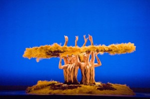 MOMIX