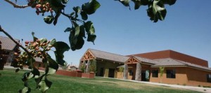 Chandler congregation looks to serve young families, change the world 