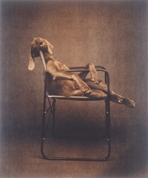 Dog treats: Wegman's artwork comes to SMoCA 