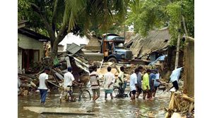 Quake, tsunami death toll passes 22,500 