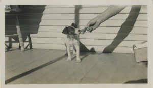 vernacular photography