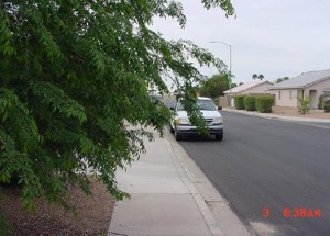 Mesa Nuisance regulations