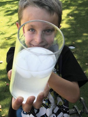 National Lemonade Day