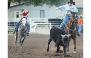 Queen Creek puts spurs to horse park planning 