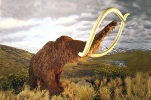 mammoth