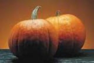 Halloween festivals sprout in Arizona 