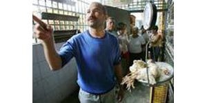 Experts: Bird flu import bans illogical 