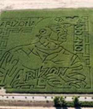 Schnepf Farms goes Gonzo 