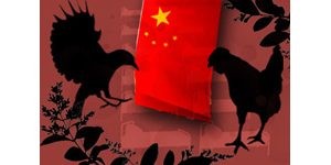 FAST FOCUS: China and health disasters 