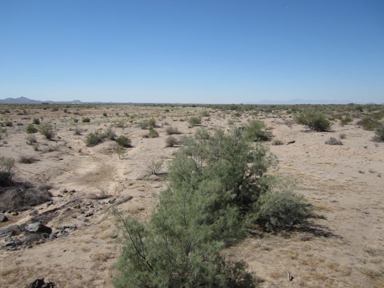 Water rights
